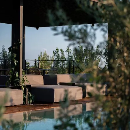 Hotel C-hotel &